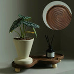A sculptural organic-shaped wooden plant stand with small round feet, holding a cream-colored planter with a green leafy plant and a black reed diffuser bottle. A circular inset at the top right shows a close-up of the wood grain on the stand.