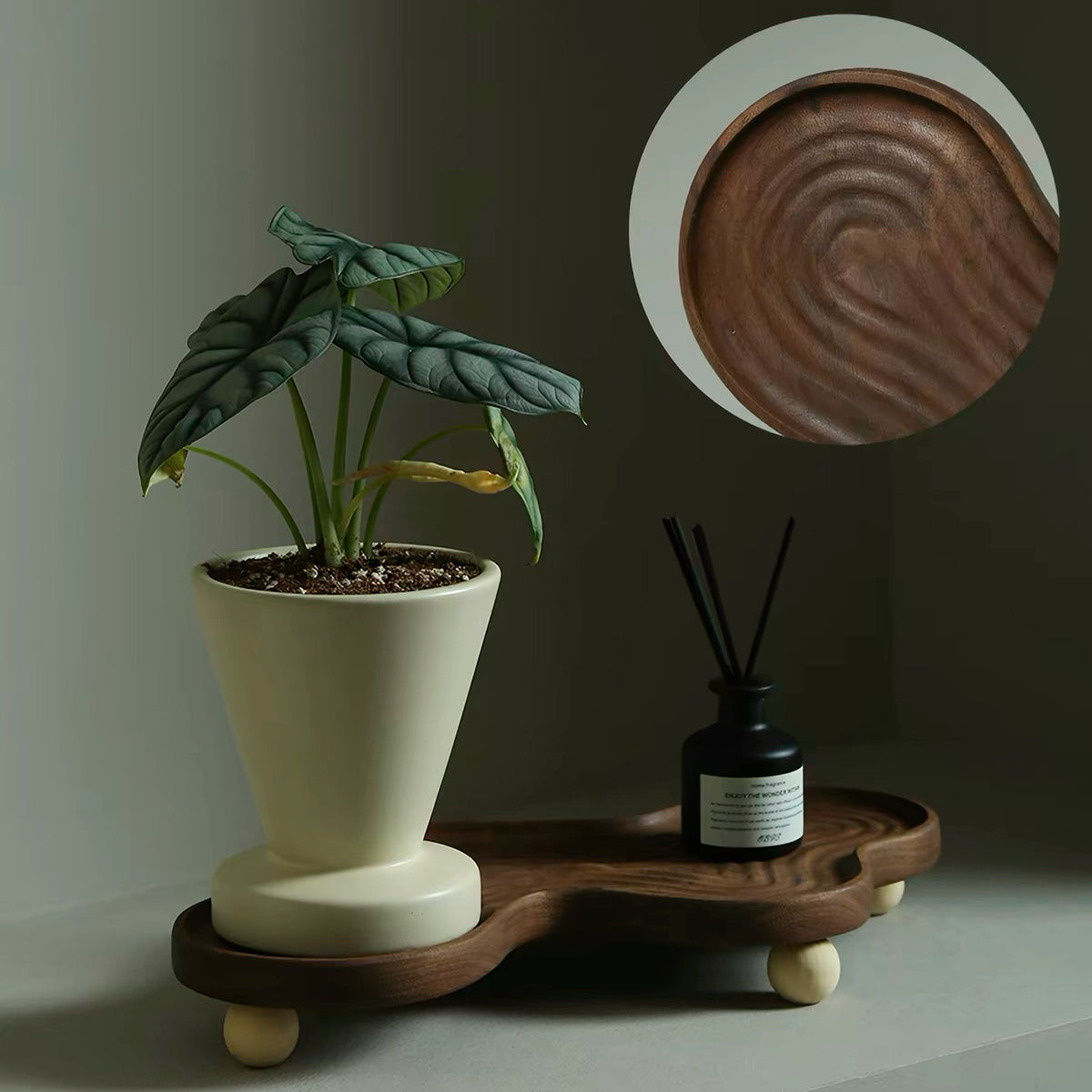 A sculptural organic-shaped wooden plant stand with small round feet, holding a cream-colored planter with a green leafy plant and a black reed diffuser bottle. A circular inset at the top right shows a close-up of the wood grain on the stand.