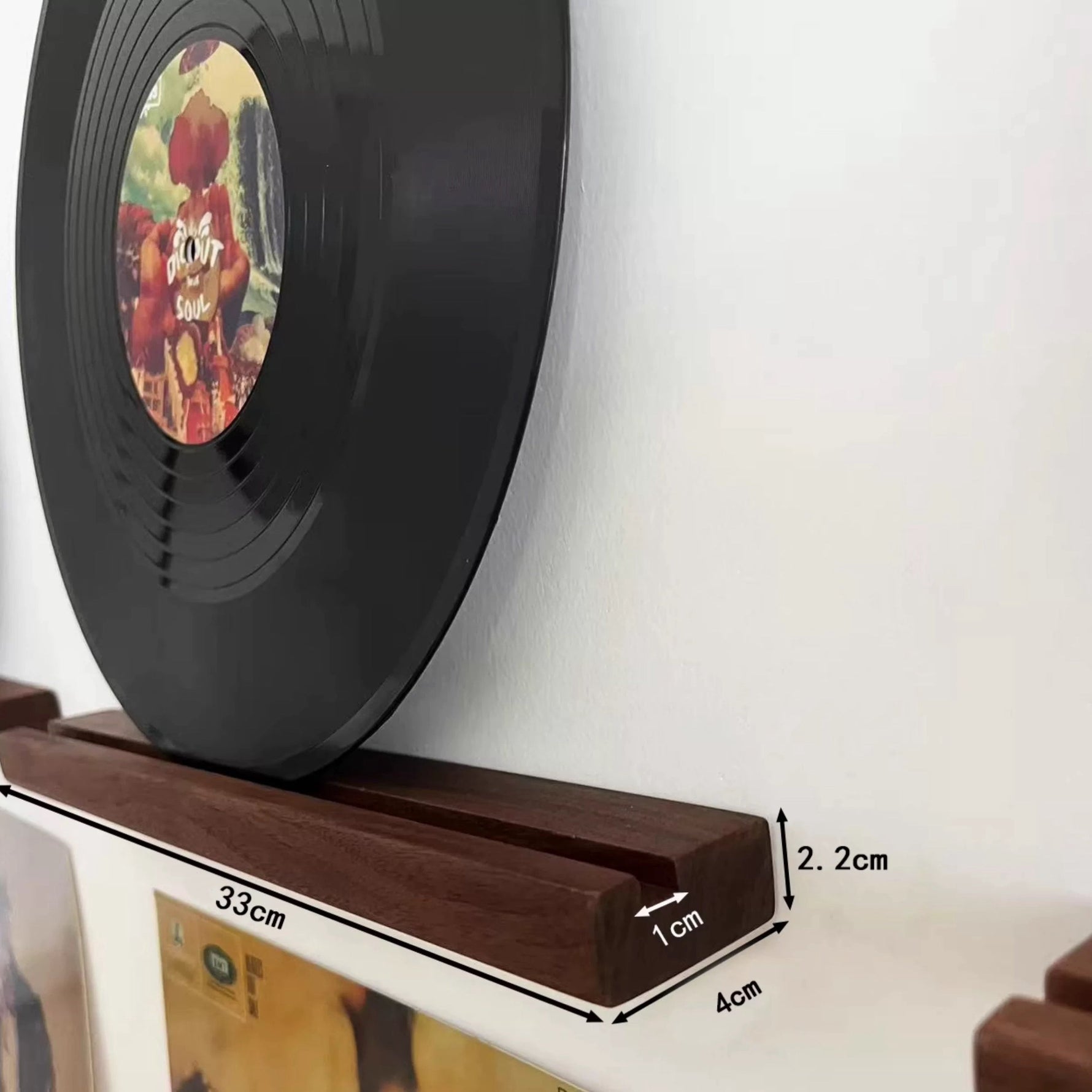 Modern wooden album display rack for stylish interiors