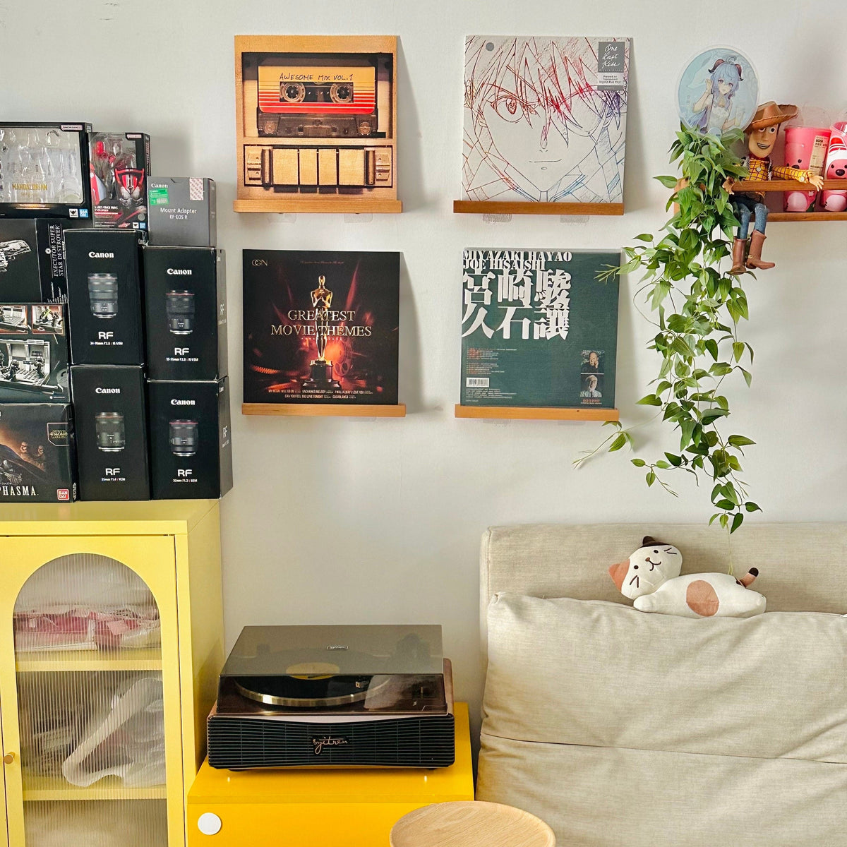 Premium walnut music display shelf with elegant natural texture
